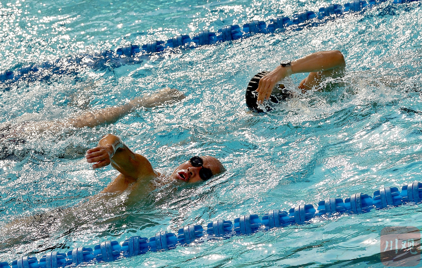 od体育链接-游泳项目高潮迭起泳池瞬间愈来愈炽烈的简单介绍